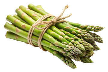 High-Quality PNG of Fresh Asparagus Isolated for Use