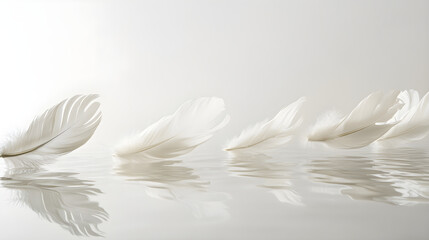 Naklejka premium Delicate Dance of Feathers in Air: A Moment of Tranquil Serenity and Ethereal Beauty