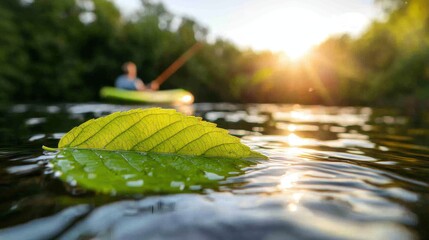 Serene Sunset Kayak Lake  Green Leaf on Water