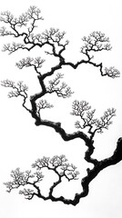 Obraz premium Elegant Minimalist Branch Patterns with a Clear Background