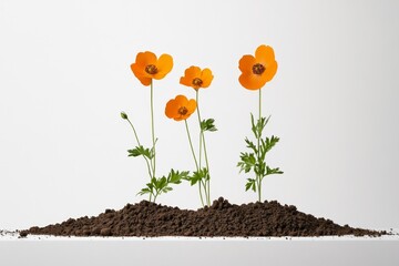 A dynamic abstract sequence of seeds sprouting into vibrant flora, then disintegrating back into seeds, emphasizing the endless cycle of creation