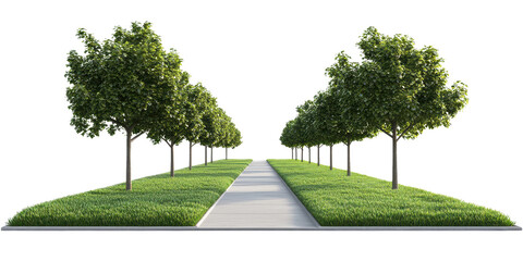 Serene Tree-Lined Path: A Tranquil Landscape