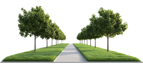 Serene Tree-Lined Path: A Tranquil Landscape