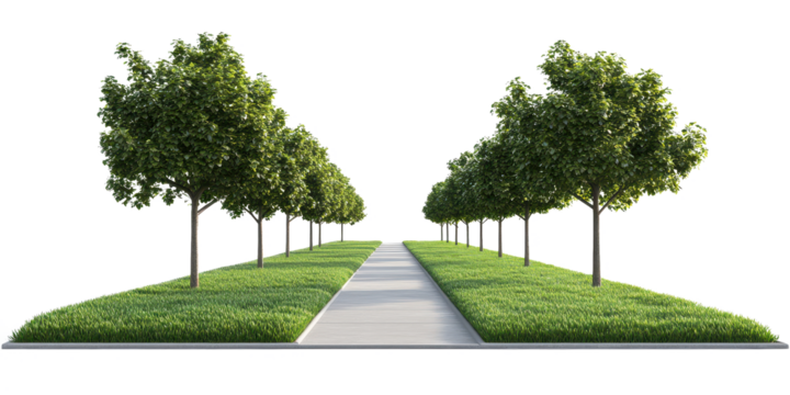 Serene Tree-Lined Path: A Tranquil Landscape - Powered by Adobe