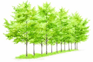 Obraz premium Lush Green Trees Aligned on a Bright White Background in Watercolor Style