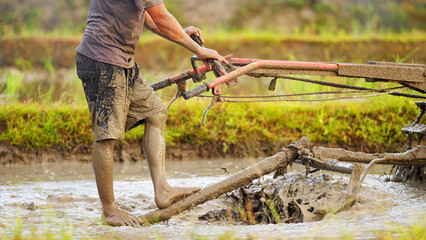 Obraz premium Asian rice farmer harrowing a flooded paddy field with a hand tractor, rural agriculture in asia