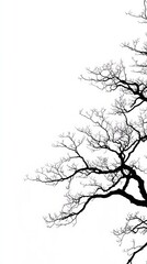 Fototapeta premium Elegant Minimalist Branch Patterns with a Clear Background