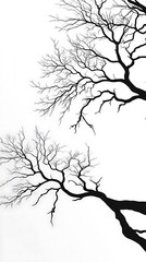 Fototapeta premium Elegant Minimalist Branch Patterns with a Clear Background