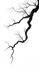 Obraz premium Elegant Minimalist Branch Patterns with a Clear Background