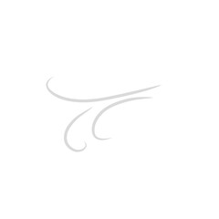 gray wind vector
