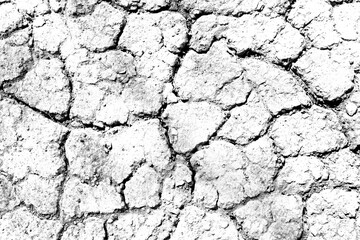 Texture soil dry crack background pattern of drought lack of water of nature white black old broken.