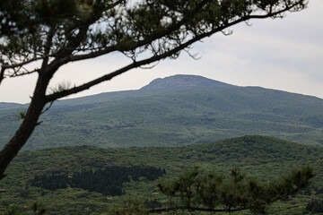 제주도 서귀포시 남원읍 신례리 이승악오름