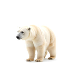 white polar bear