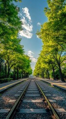 Fototapeta premium The railway in the green forest