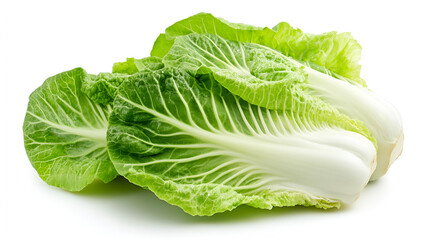 Fresh Chinese Cabbage vegetable for dairy food isoladed white background ai generative