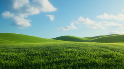 Obraz premium Green field and blue sky.