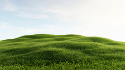 Fototapeta premium Landscape with grass and sky.