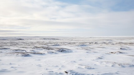 Vast snowy tundra landscape under a cloudy sky showcasing the serene beauty of winter wilderness.