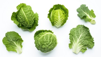 Fresh Savoy cabbage heads and leaves arranged on a clean white background showcasing vibrant green textures and natural shapes.