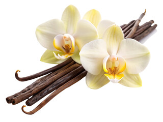 vanilla pods and orchid flowers