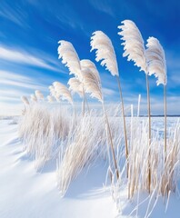 Obraz premium Winter Wonderland: Frozen Plants in Snowy Field