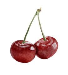 Hand drawn cherry, watercolor style