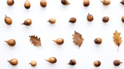 Oak acorns and dried leaves arranged on a white background showcasing natural textures and colors in a minimalist composition