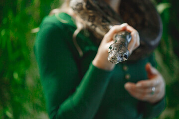 Close up of woman's hands holding white pet snake