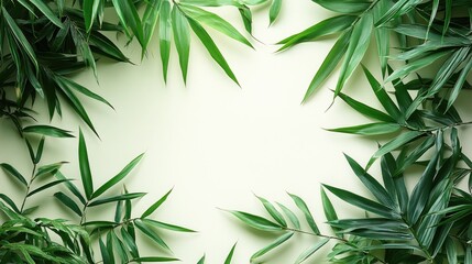 Obraz premium Bamboo leaves arranged in a lush frame on a soft light background creating a serene natural aesthetic for design projects