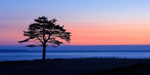 Naklejka premium Outline of a solitary cedar tree during the twilight hours. This lone cedar stands out against the dusky backdrop, emphasizing its solitary presence at dusk.