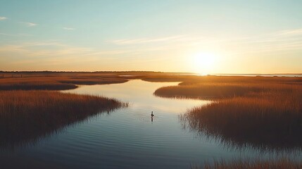 Fototapeta premium Bird wading through tranquil waters of a salt marsh during the golden hour, capturing the serene beauty and reflections of nature. Ideal for nature photography with ample copy space.