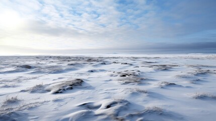 Serene winter landscape of snow-covered tundra under dramatic cloudy sky with subtle hues and gentle undulating terrain
