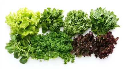 Fototapeta premium Fresh and vibrant assortment of assorted leafy greens including lettuce, spinach, kale, and herbs ideal for making a wholesome salad
