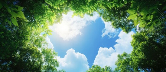 Lush tropical trees framing a vibrant blue sky with fluffy clouds ideal for evoking a sense of vacation tranquility and natural beauty.