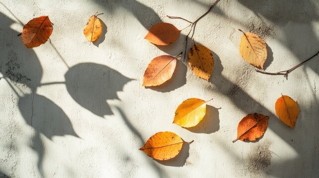 Autumn leaves dotted on a light wall, creating delicate shadows that highlight a minimalist nature theme and evoke a serene atmosphere.