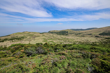 Obraz premium 제주도 제주시 애월읍 광령리 윗세오름