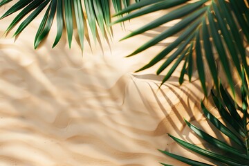 Palm Tree Shadows on Sandy Beach Surface