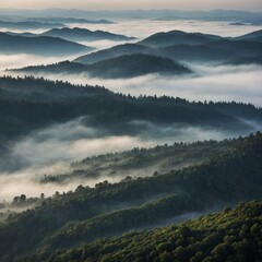 "A foggy mountain range with layers of ridges fading into the mist, creating a sense of depth and tranquility."