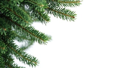 Christmas tree branches on a flat white background with a blank card for holiday messages or greetings. Ideal for customizable greeting cards.