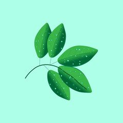 Leaves with drops of dew. Vector illustration