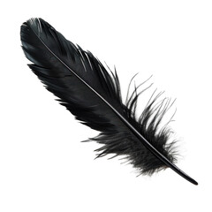 black feather isolated on white background png