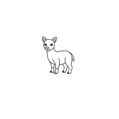 Fototapeta premium fox cartoon isolated on white
