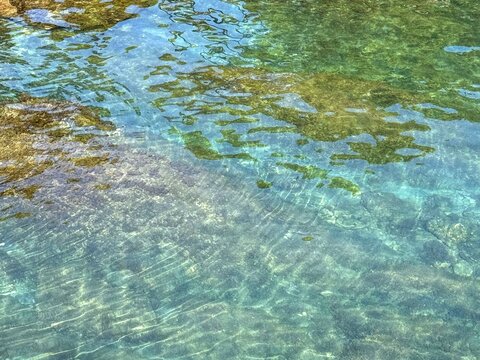 Calm rippled water with algae at the bottom of sea.