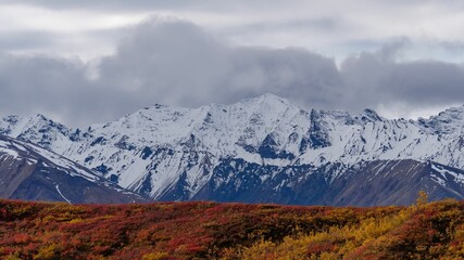 View of Denali National Park with mountains in Alaska with cloudy sky and Ice on top of mountains