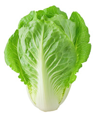 Obraz premium A large green leafy vegetable with a white stem Transparent Background