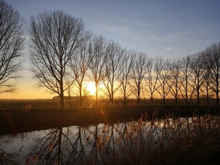 Beautiful sunset behind trees on the river 