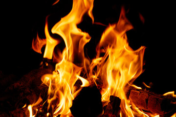 Fototapeta premium A close up of a fire with the flames reaching up to the top of the image