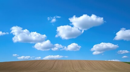 Fototapeta premium Plowed agricultural field with neat furrows, framed by fluffy white clouds against a vibrant blue sky, indicating readiness for spring planting.