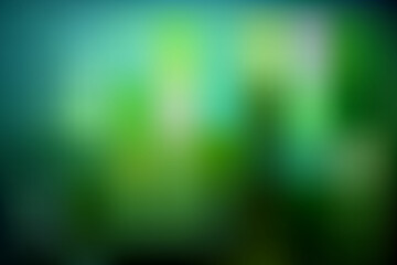 gradient Black and green template background. abstract green fluid color background. new design for advertising, poster, banner for website