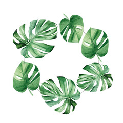 watercolor tropical wreath of monstera leaves